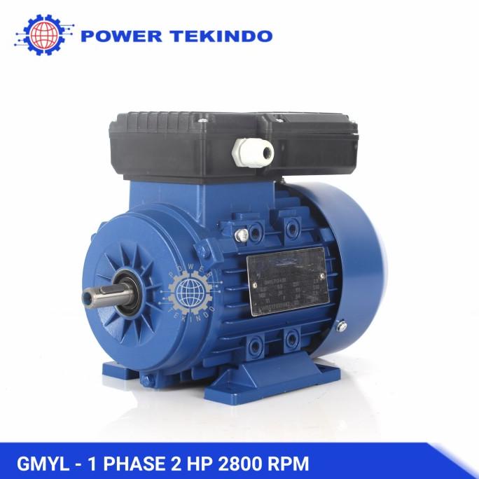 Famoze Pro Dinamo 1 Phase 2 HP 2800 RPM Elektro Motor GMYL 2 PK