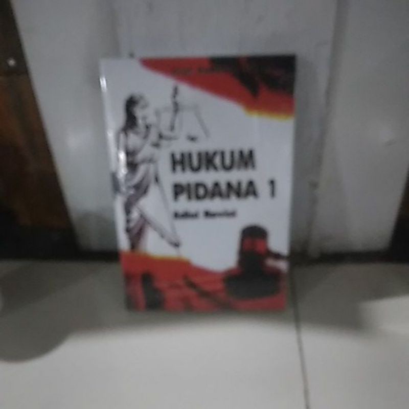 hukum pidana 1 edisi revisi Sudarto SH