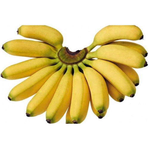 

Buah Segar Pisang Mas Pisang Susu Pisang Mahuli Sesisir