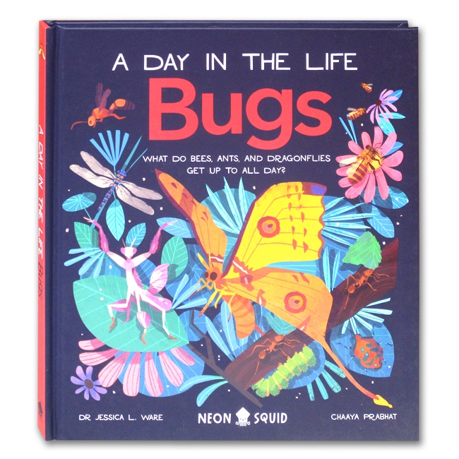 A Day In The Life Bugs Book