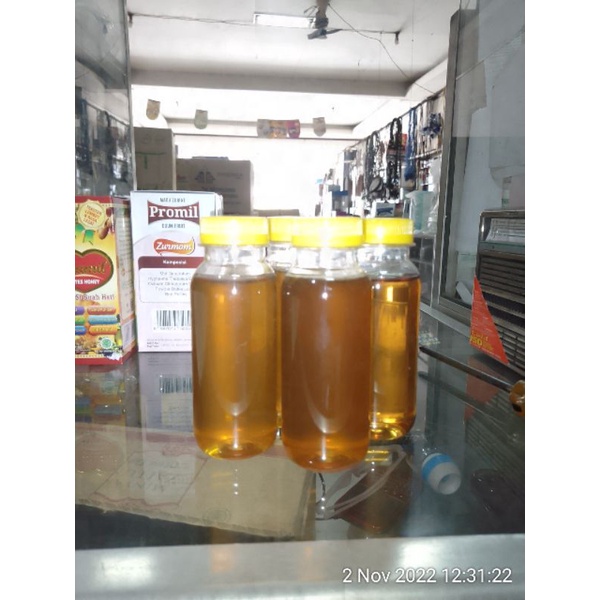 

madu asli lebah ternak