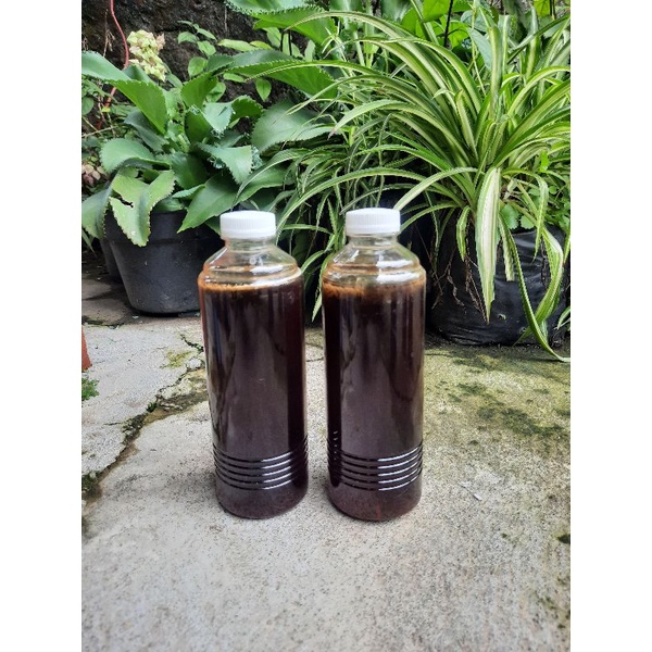 

MADU Murni Multiflora 500 ml