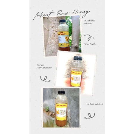 

Madu Hutan Murni/Raw Honey