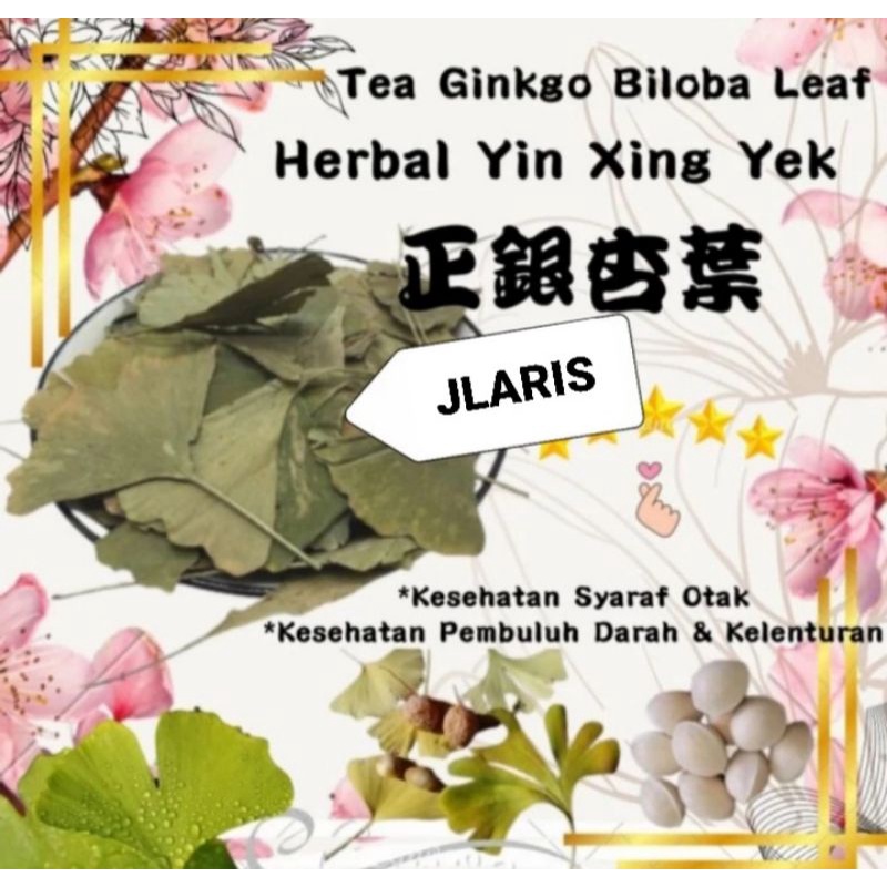 

250gram Obat Herbal Ginkgo Leaf Super Ginkgo Biloba Ginko