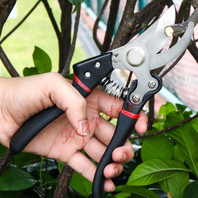 Gunting Dahan Pruning Buah alat bonsai SK5 jepang black