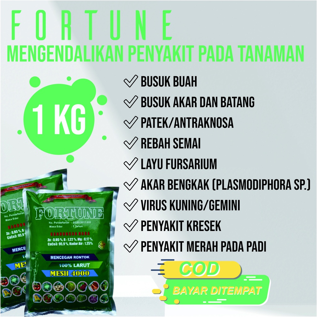 PROMO COD Pupuk Kalsium FORTUNE 1 KG Obat Busuk Buah Cabe Paling Ampuh - Obat Busuk Buah Cabai Keriting - Obat Anti Busuk Buah Cabe - Obat Pencegah Busuk Buah Cabe - Obat Agar Buah Cabe Tidak Busuk - Obat Penyakit Busuk Buah Pada Cabe