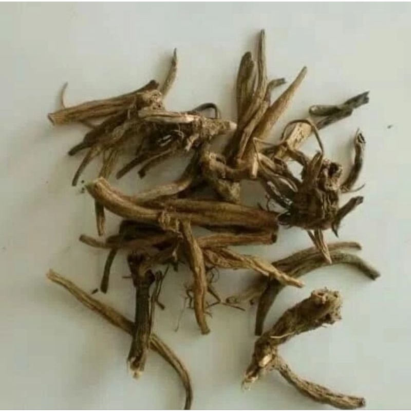 

1KG 1 KG 1000 G GR GRAM 大小薊 DA XIAO JI HERBA CIRSII JAPANESE MILK THISTLE HERB