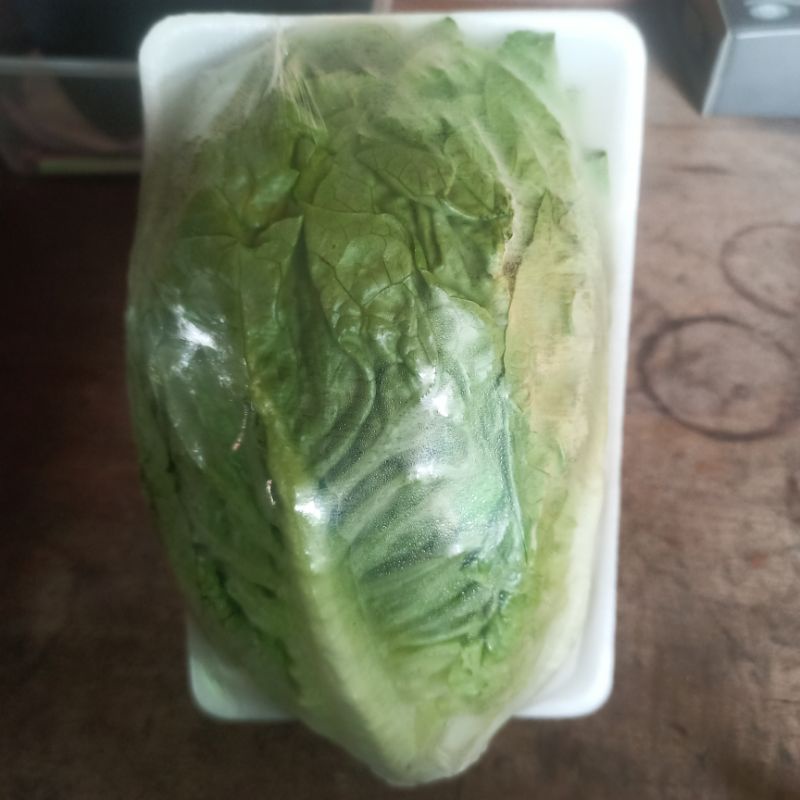 

Lettuce Romaine Fresh