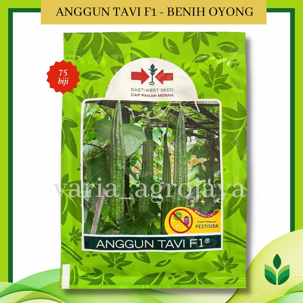 Benih Bibit Oyong / Gambas Anggun Tavi F1 - Cap Panah Merah