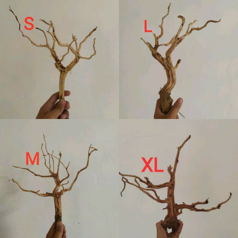 kayu rasamala ukuran jumbo,xl,L,m,s kayu rasamala aquascape dan aquarium
