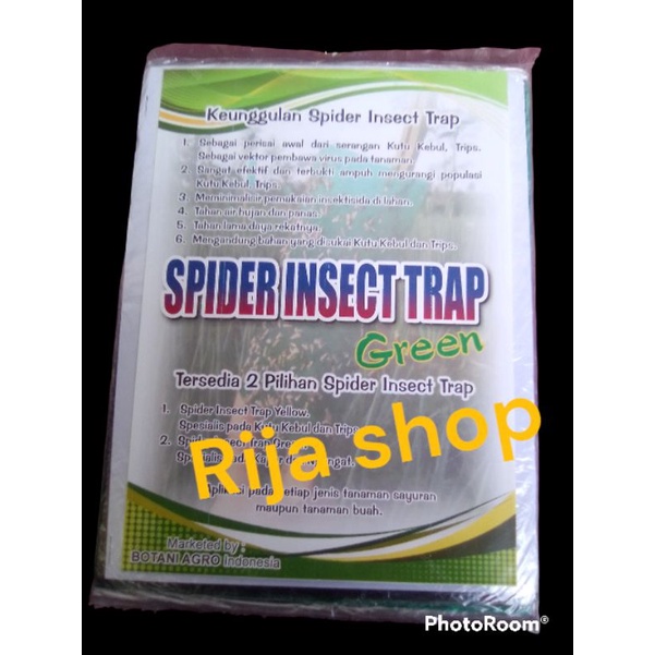 Spider Insect Trap Hijau 100 lembar