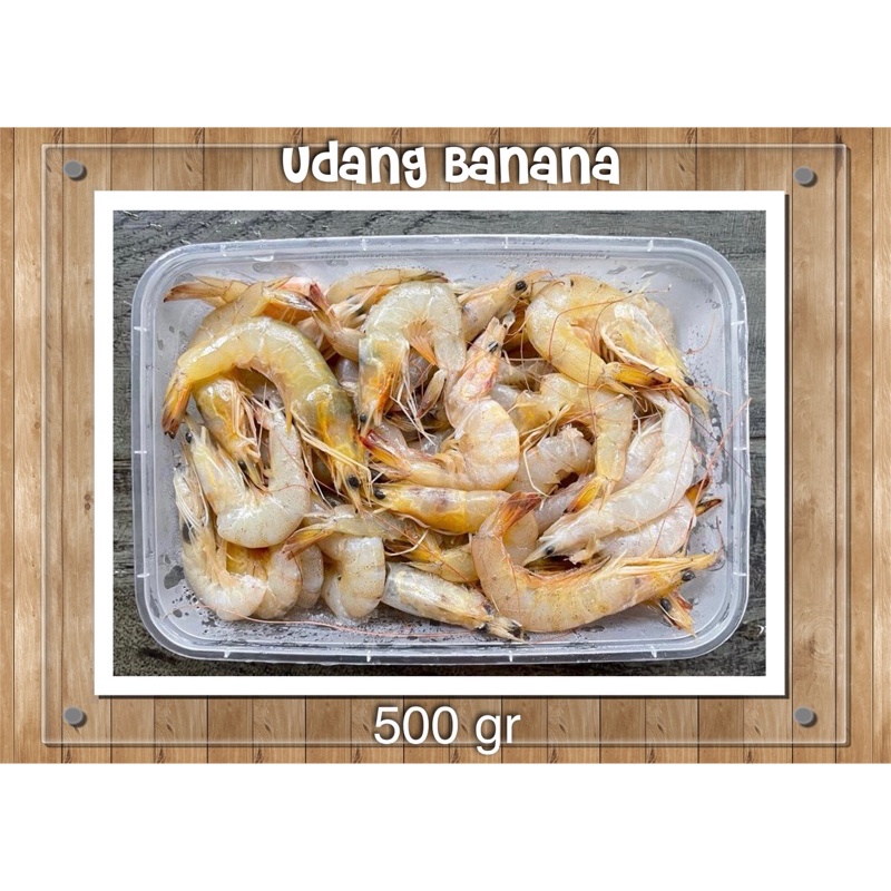 

Udang Banana 500 gr - Udang Laut Fresh