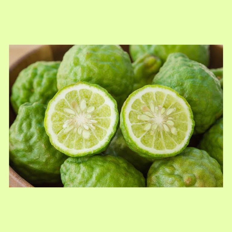 

Jeruk limau / jeruk limo fresh