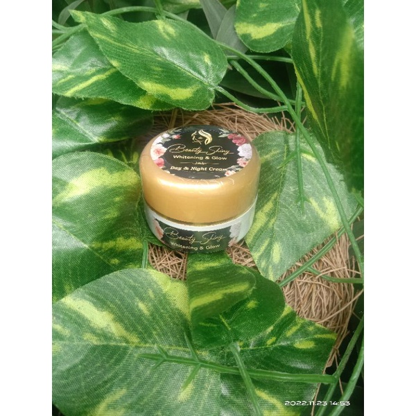 cream cepat putih glowing / cream pemutih / krim pemutih wajah ampuh / 2in1 cream