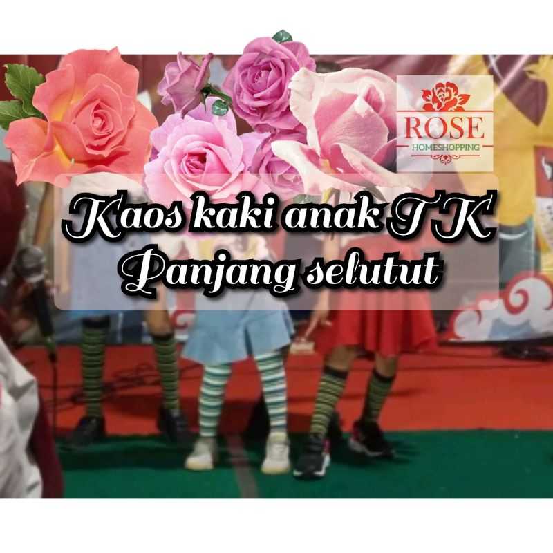 kaos kaki panjang anak TK selutut perempuan laki-laki di makassar
