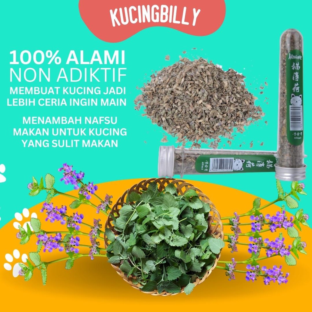 Bubuk Catnip kucing 40ml