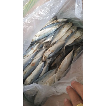 

ikan asin peda 500 gram pres