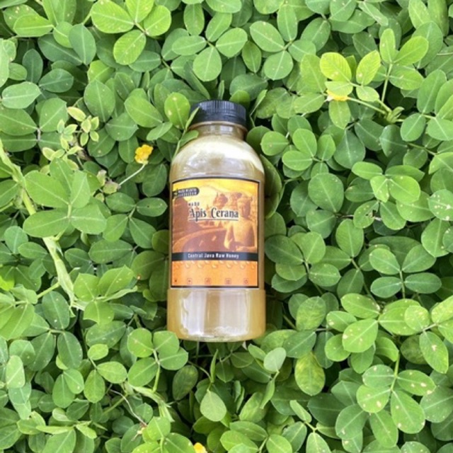 

madu apis cerana 100 persen murni raw honey