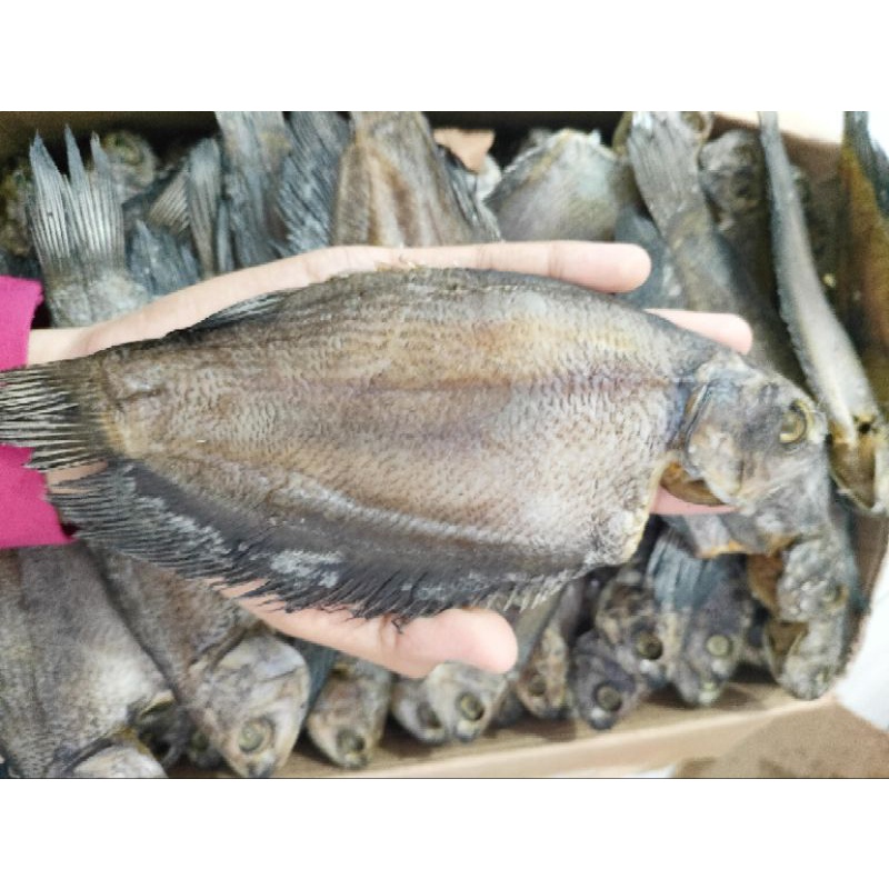 

IKAN ASIN SAPAT SIAM 250gr