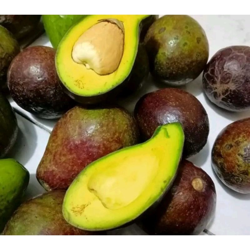 

Alpukat mentega isi 2 atau 3