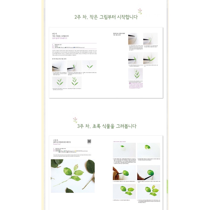 [Korea Book] I wish I could draw watercolors well - 나도 수채화 잘 그리면 소원이 없겠