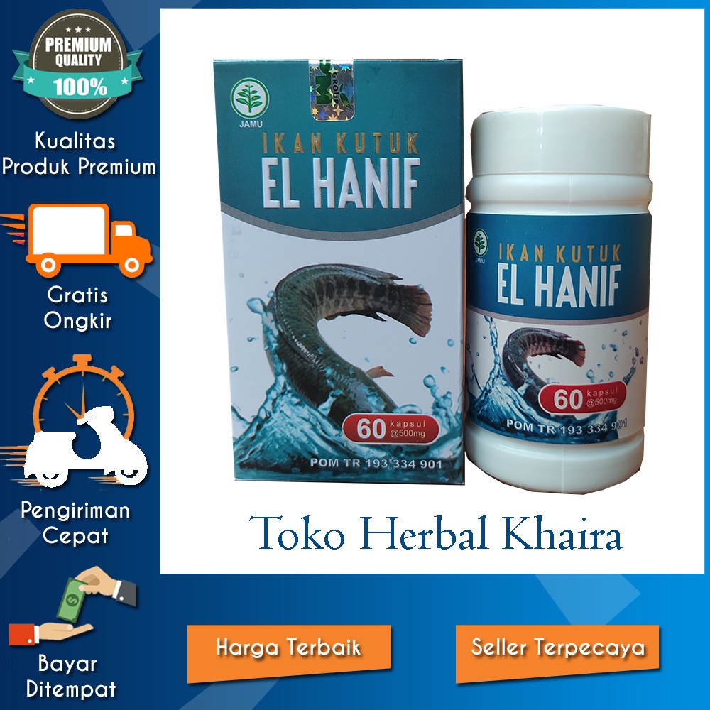 EL HANIF IKAN KUTUK GABUS MEMBANTU PEMULIHAN LUKA