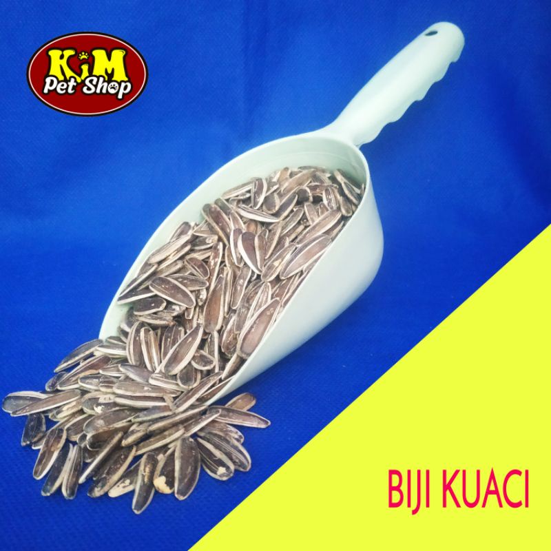 

Biji Kuaci