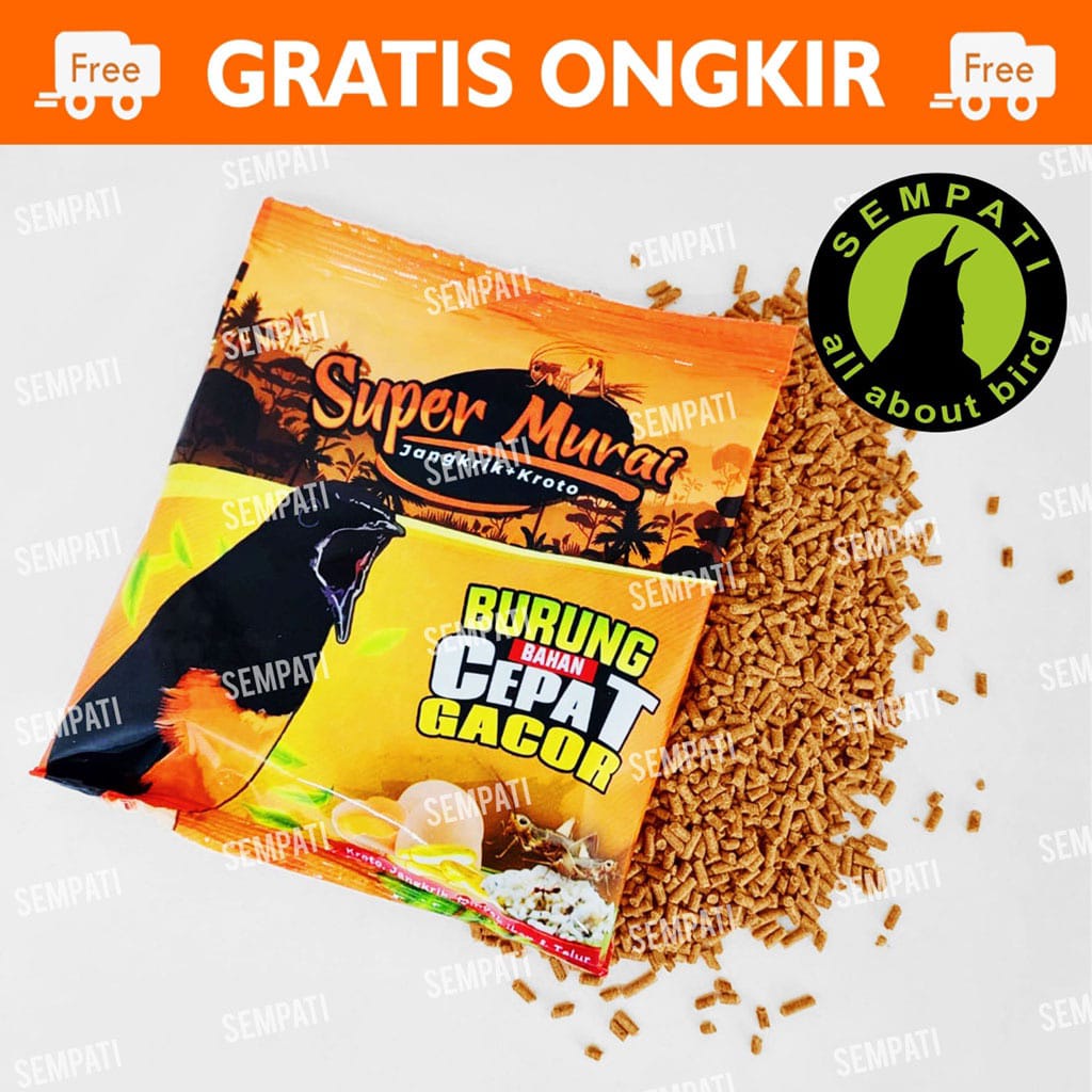 Pakan Burung Super Murai Sempati Kroto Sari Voer Pur Kasar Makanan Burung Murai Kacer Voer Jangkrik Jentet Decu Cucak Trucukan