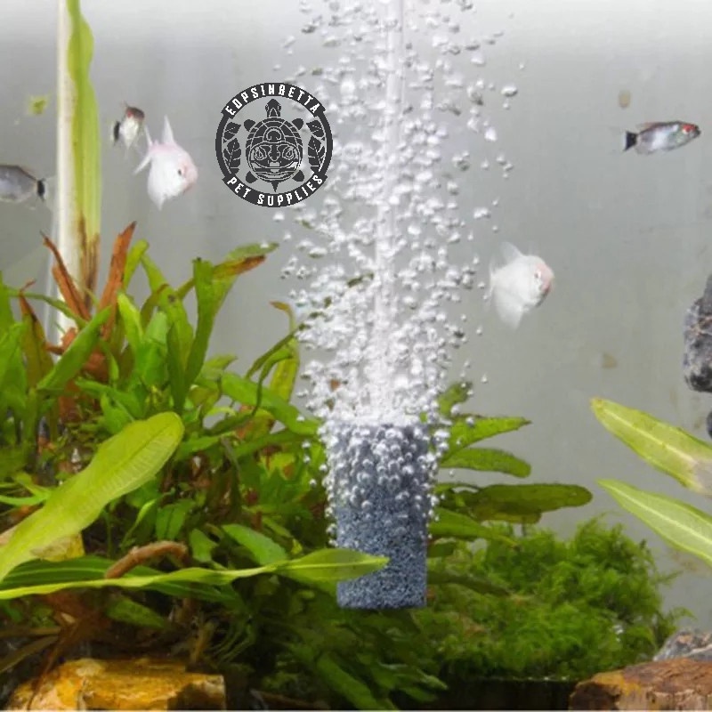 Batu Aerasi Aquarium Aerator Akuarium L2