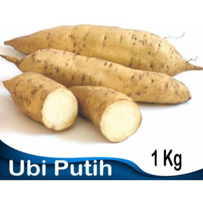 

Ubi Putih Kemasan 1 kg