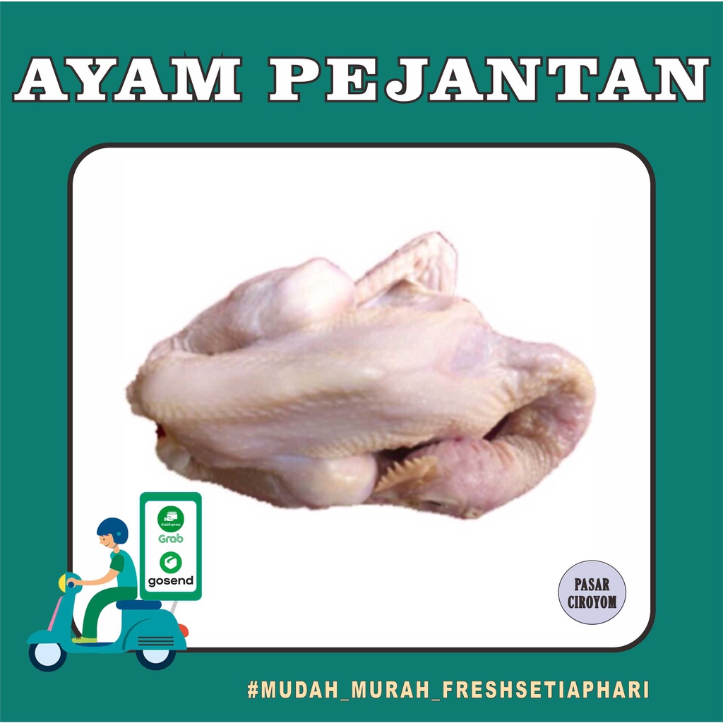 

PROMO AYAM PEJANTAN FRESH MURAH BANDUNG