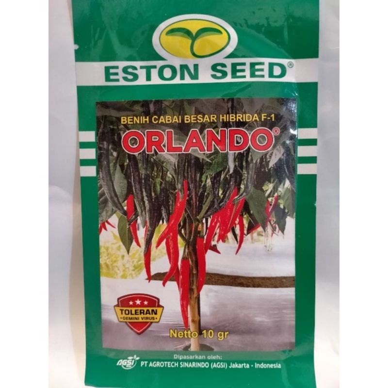 Benih Cabe Besar F1 Orlando (10 gram)