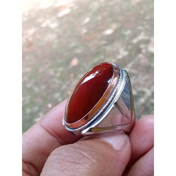 pandan merah ring 7