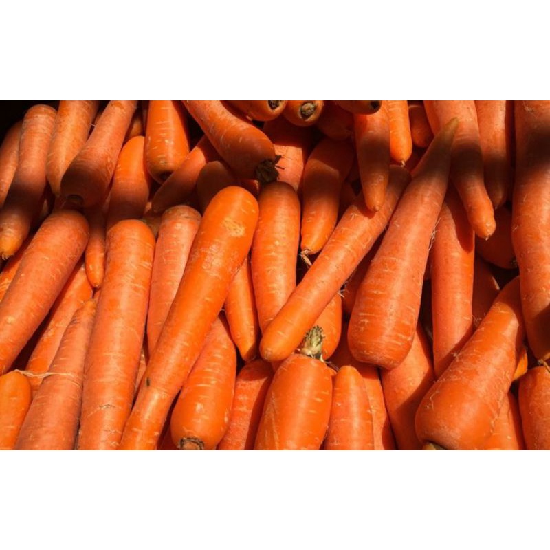 

WORTEL BERASTAGI 250g