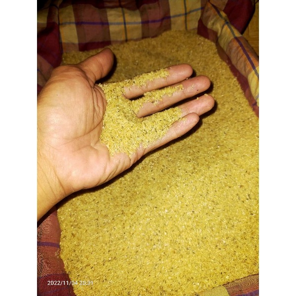 telur jangkrik madu super 150gram