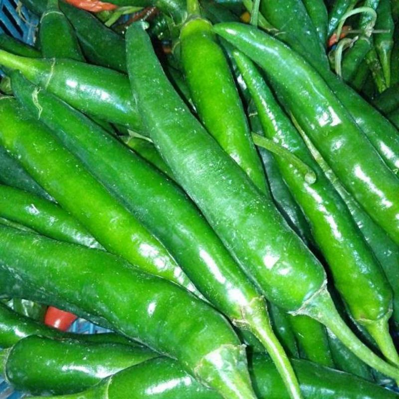 

Cabai Hijau besar | Cabe hijau besar
