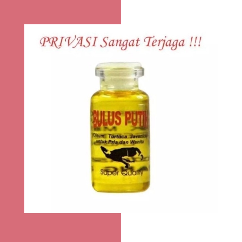 MINYAK BULUS ORIGINAL / MINYAK BULUS PUTIH ORIGINAL