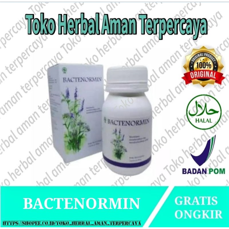 Bactenormin Asli Herbal Original Obat Penghilang Parasit Resmi BPOM