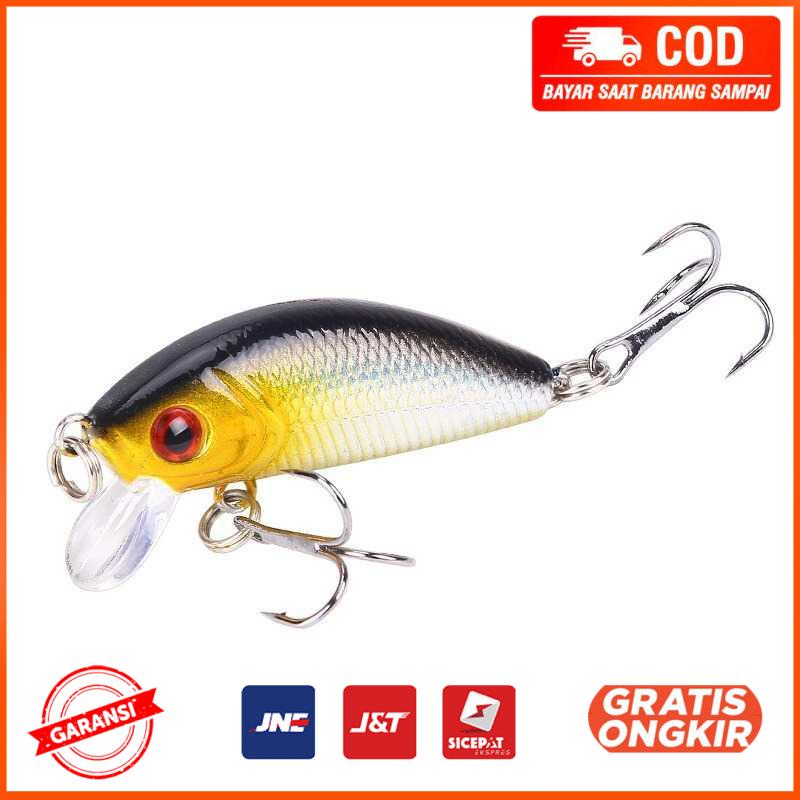 Umpan Pancing Ikan Mas Carp Crankbait Minnow Lure LD07