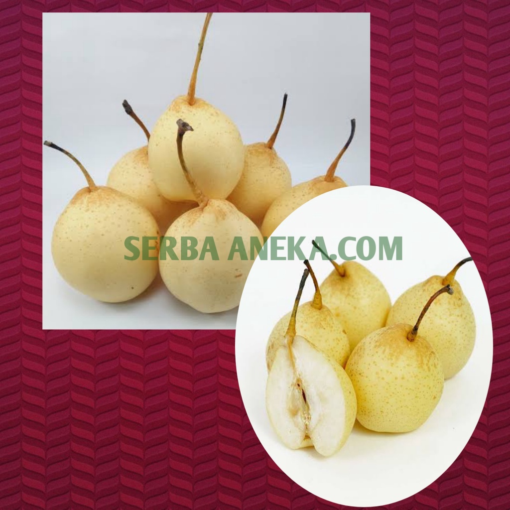 

Buah Pear Ya Li Manis ( Per 1000 gr)