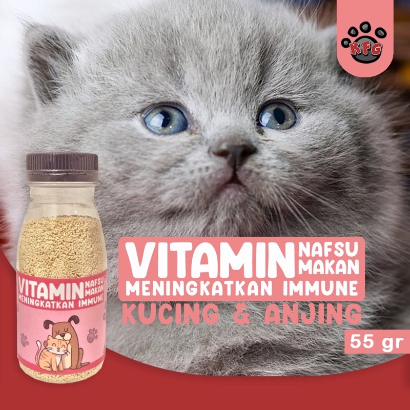 VITAMIN GEMUK Kucing Penambah Nafsu Makan Anjing Obat Penggemuk Untuk Vitamin Anak Kucing