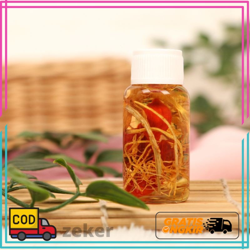 MINYAK BULUS GINSENG MERAH // ORIGINAL