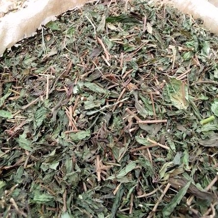 DAUN KUMIS KUCING KERING 1KG
