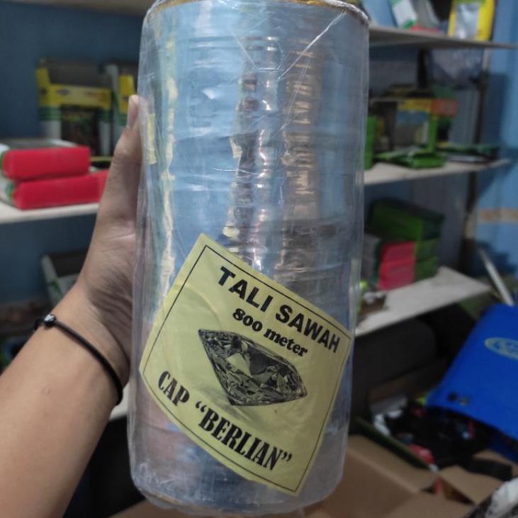 ず Tali Perak/Tali plastik pengusir burung Pipit di Sawah ポ