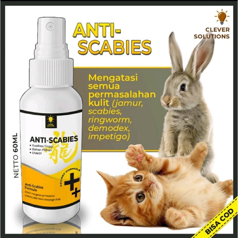 Anti Scabies 60ml Obat Jamur Kucing Kelinci Demodex Impetigo Skabies Kutu Cacing Hati Gatal Jamuran 