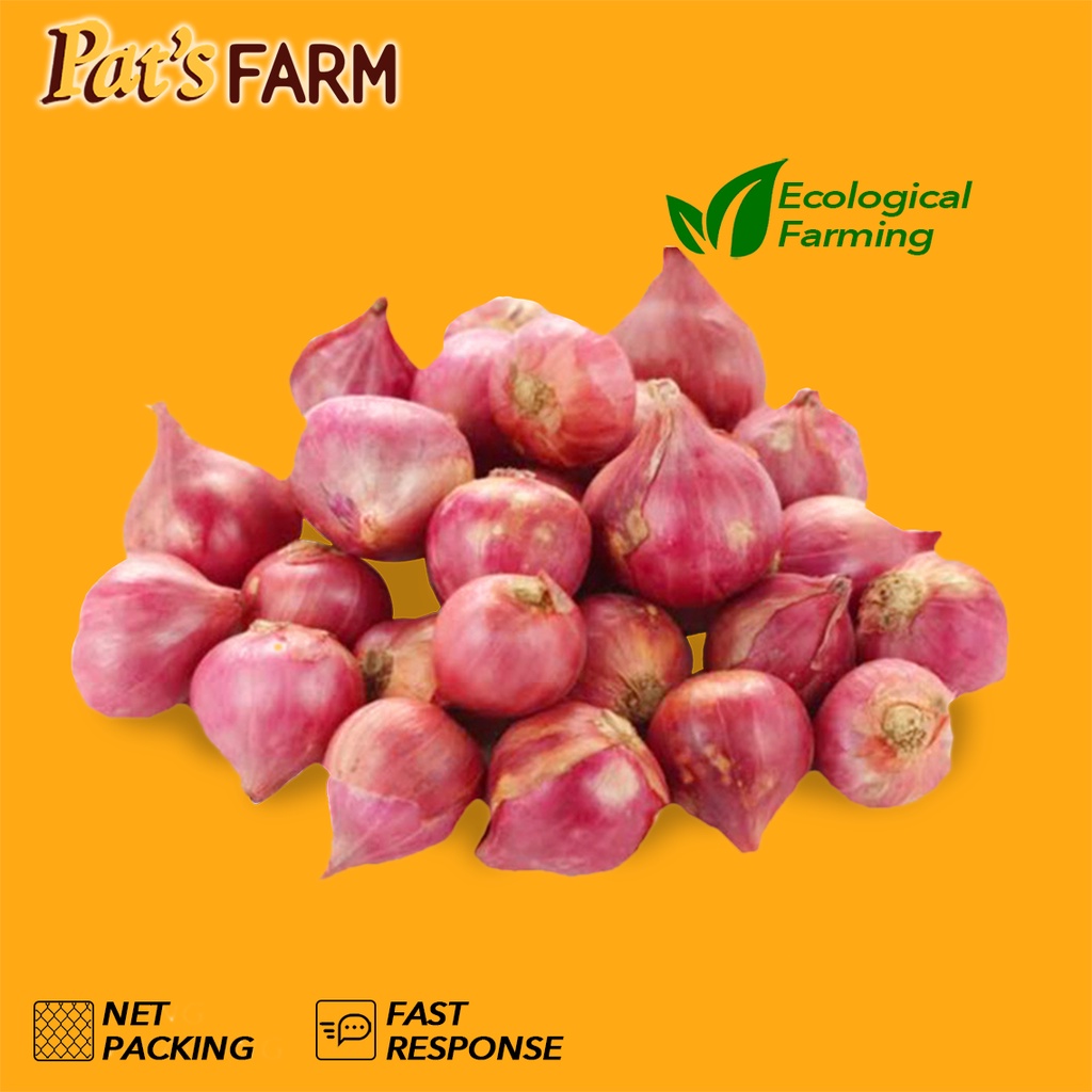 

Bawang Merah Brebes (Super)