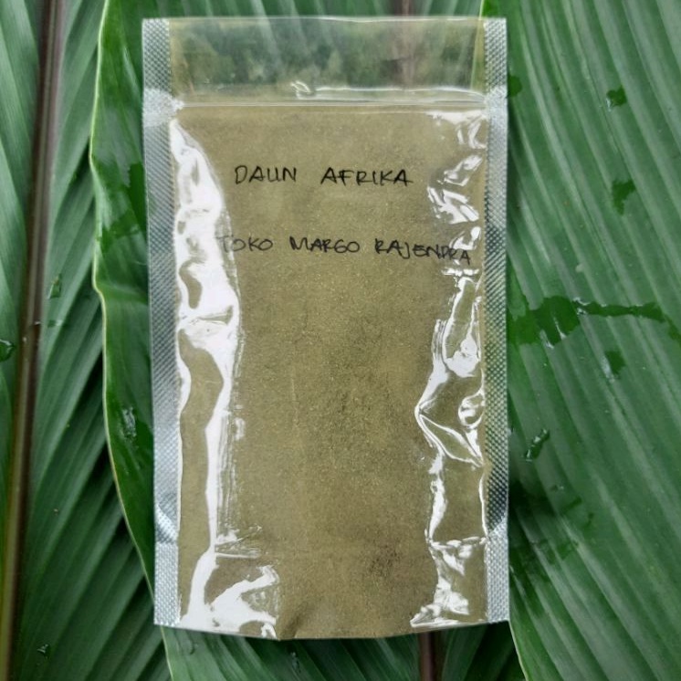 

Bubuk Daun Afrika Selatan / Sambung Nyawa isi 100 Gram