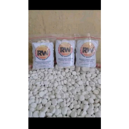 

ragi tape singkong anti gagal... 1000 butirr