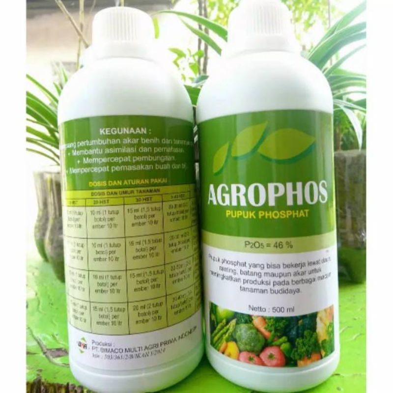 pupuk phospat agrophos 500 ml