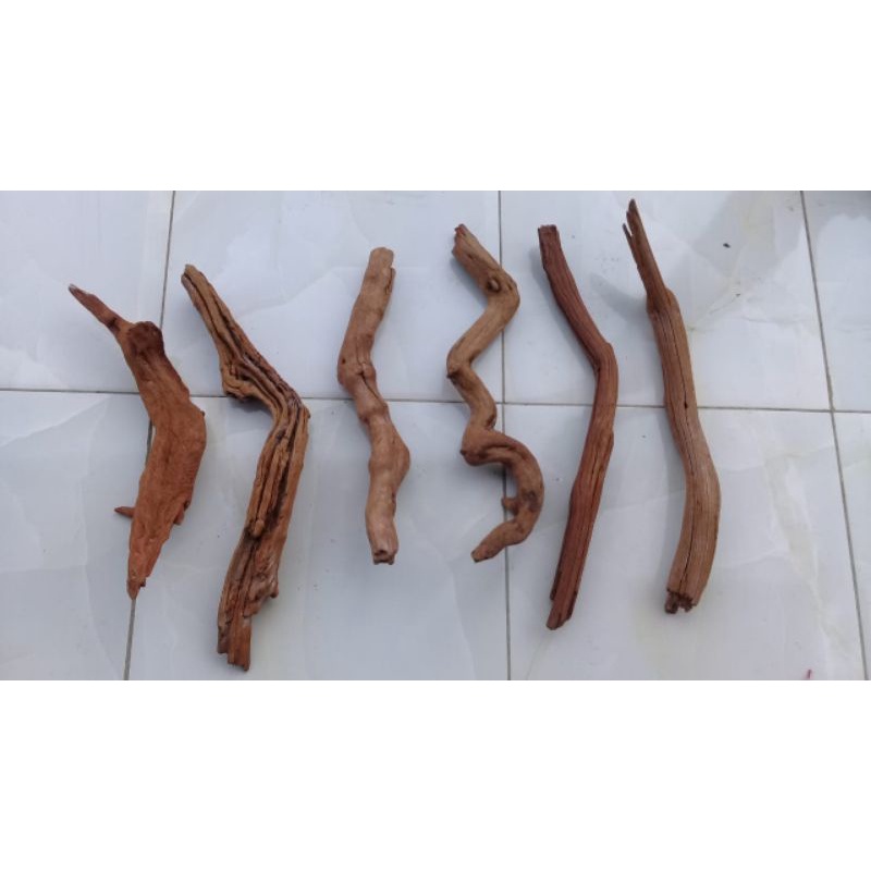 Kayu santigi gunung size M